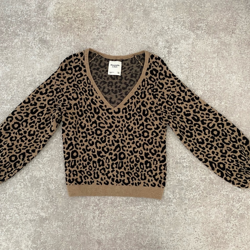 Abercrombie Leopard Print Sweater (XS)